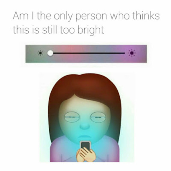 Meet your Posher, Xenia - Picture 1 of 1